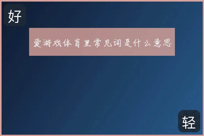 爱游戏体育里常见词是什么意思